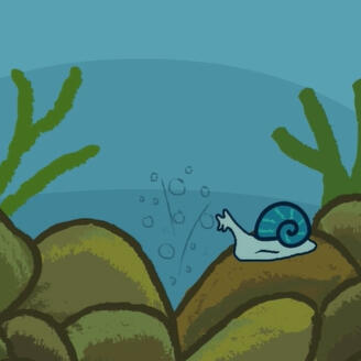 Animation
